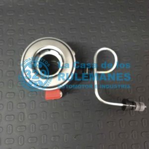 IMG_7119-2 IMG_7119-2